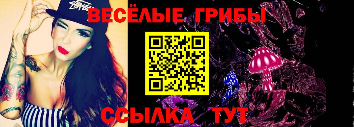 Галлюциногенные грибы Psilocybe  Вход с VPN  купить   Камышин 